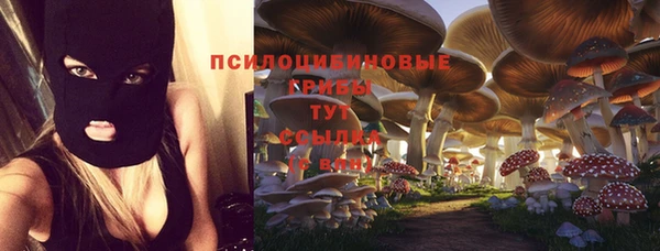 мет Коряжма